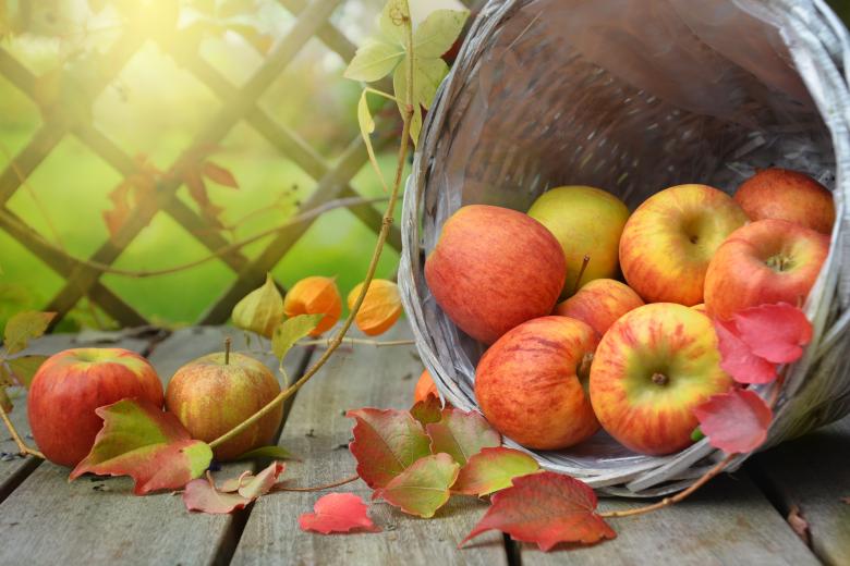 Free stock image of Apple Bucket created by Pixabay