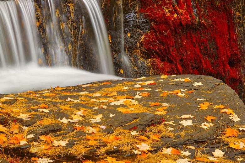 Free stock image of Autumn Moss Factory Falls - Gold Ruby Fantasy HDR created by Nicolas Raymond