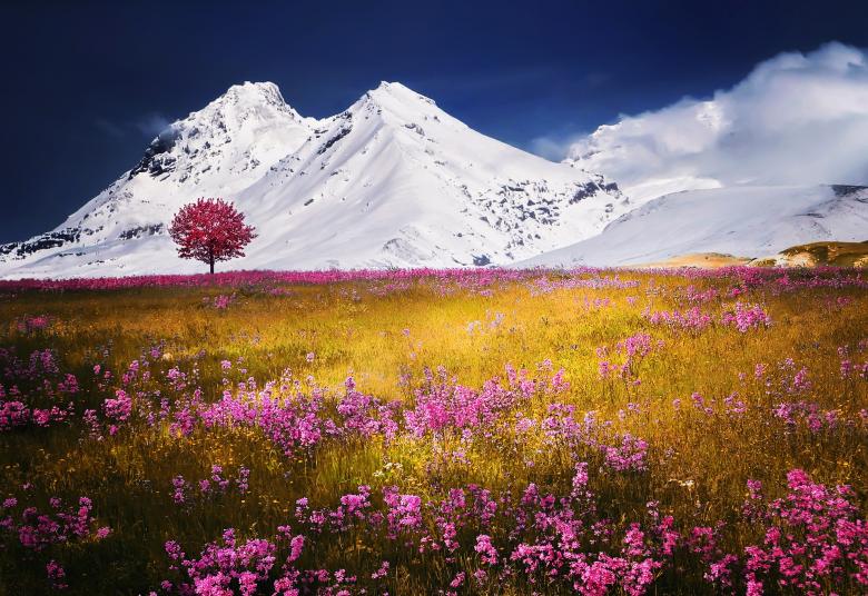 Free stock image of Alps created by Pixabay
