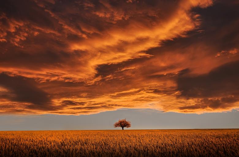 Free stock image of Field View created by Pixabay