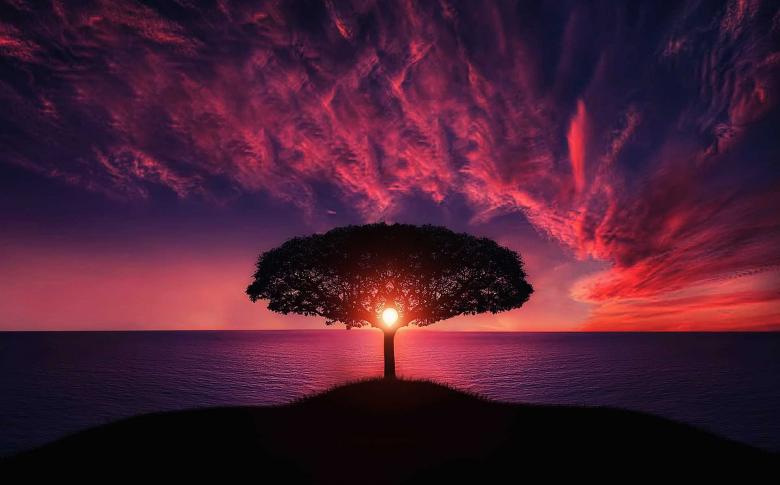 Free stock image of Beautiful Shot created by Pixabay