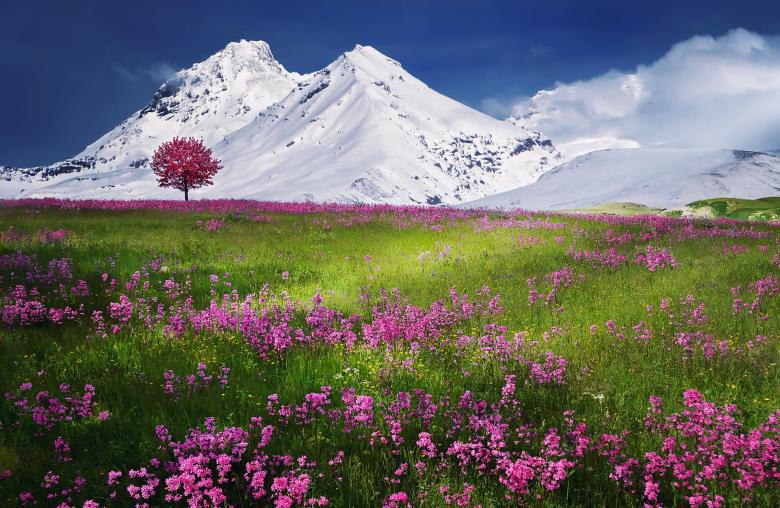 Free stock image of Beautiful View created by Pixabay