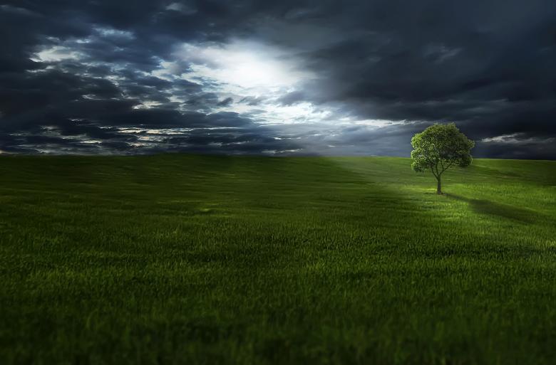 Free stock image of Amazing View created by Pixabay