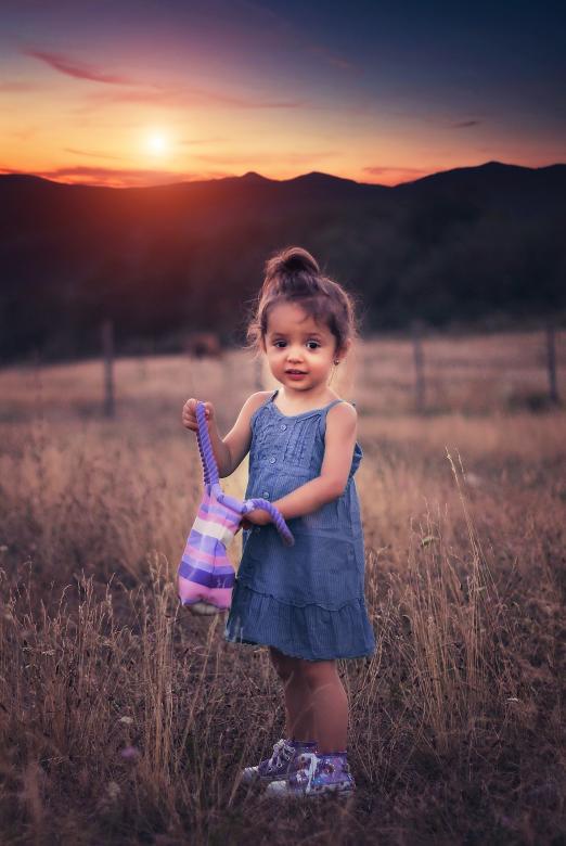 Free stock image of Aroni in the Field created by Pixabay