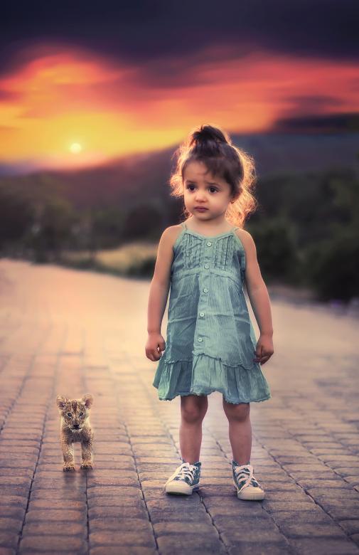 Free stock image of Aroni with Lion cub created by Pixabay
