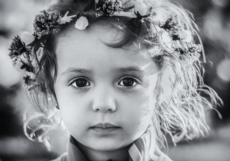 Free stock image of Little Aroni created by Pixabay