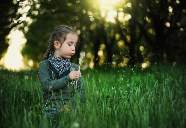 Free stock image of Little Girl with Dandelion created by Pixabay