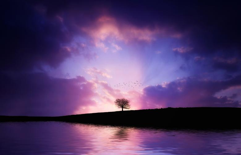 Free stock image of Lonely Tree created by Pixabay