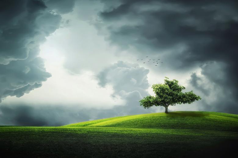 Free stock image of Lonely Tree created by Pixabay