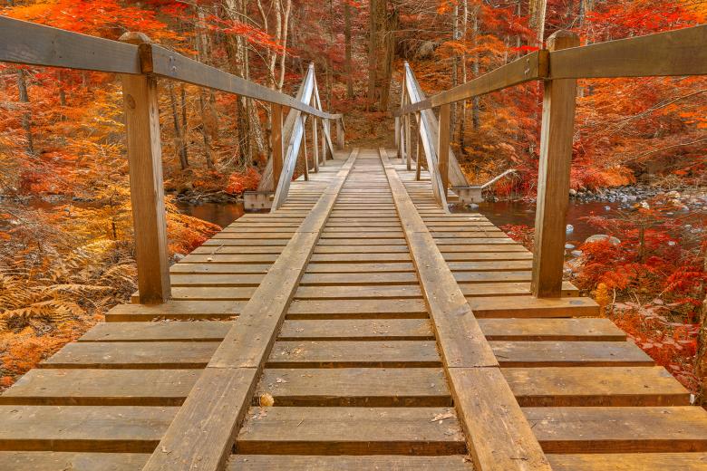Free stock image of Autumn Forest Track Bridge - HDR created by Nicolas Raymond