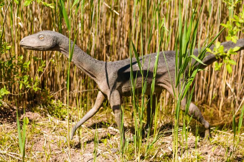 Free stock image of Extinct Animal Park created by Pixabay