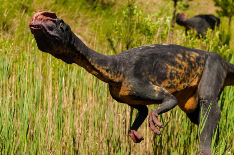 Free stock image of Extinct Animal Park created by Pixabay
