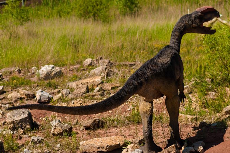 Free stock image of Little Dinosaur created by Pixabay