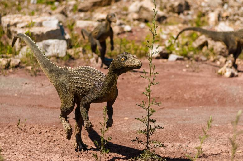 Free stock image of Little Dinosaur created by Pixabay