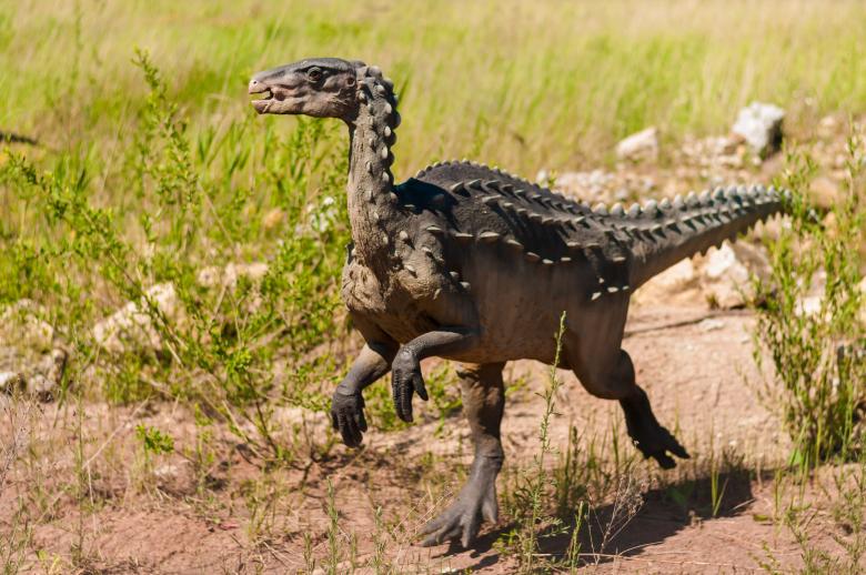 Free stock image of Extinct Dinosaur Park created by Pixabay
