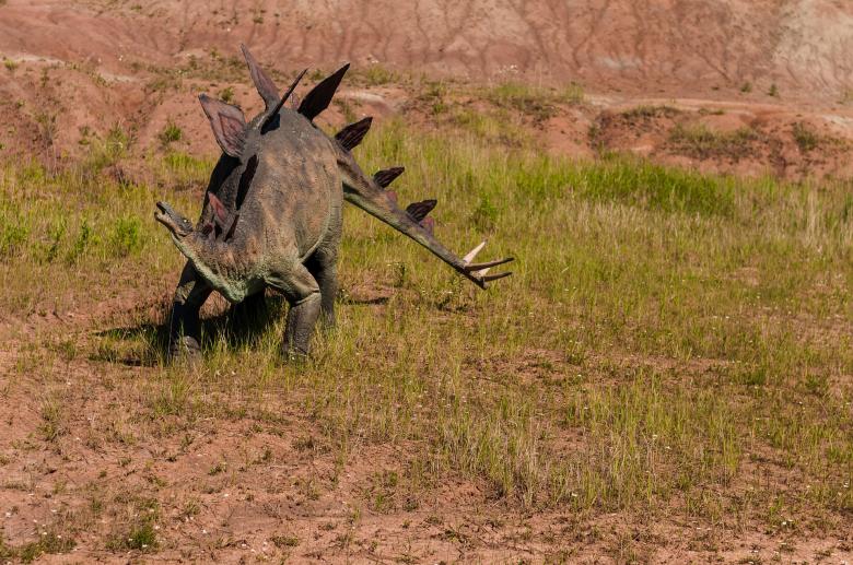 Free stock image of Extinct Dinosaur Park created by Pixabay