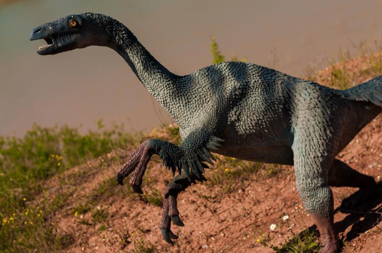 Free stock image of Dinosaur Park created by Pixabay
