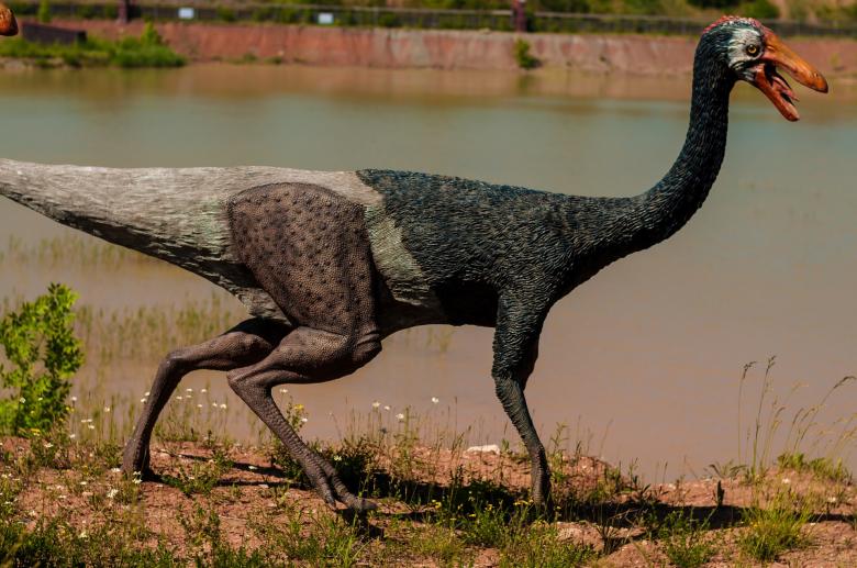 Free stock image of Dinosaur Park created by Pixabay