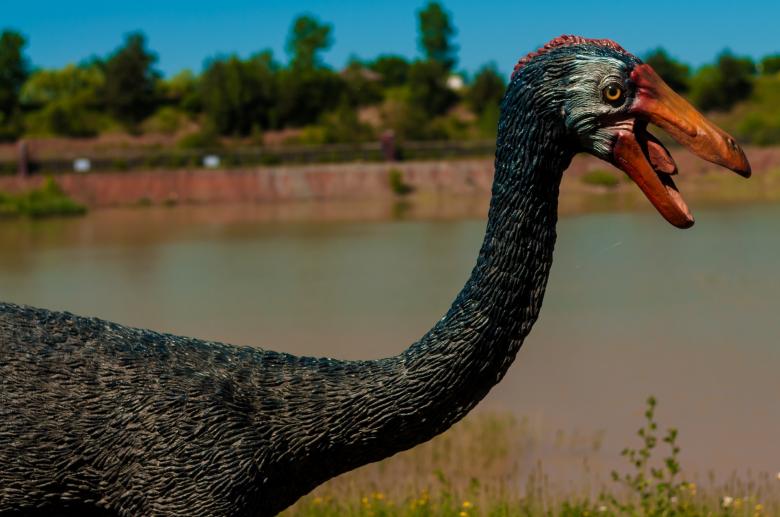 Free stock image of Dinosaur Park created by Pixabay