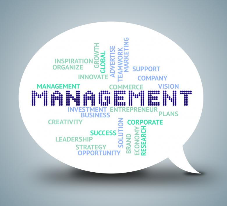 Free stock image of Management Bubble Shows Authority Planning 3d Illustration created by Stuart Miles