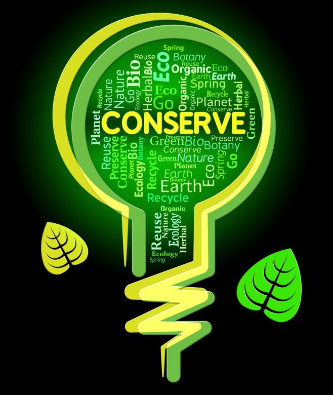 Free stock image of Conserve Lightbulb Shows Sustainable Conserving And Protecting created by Stuart Miles