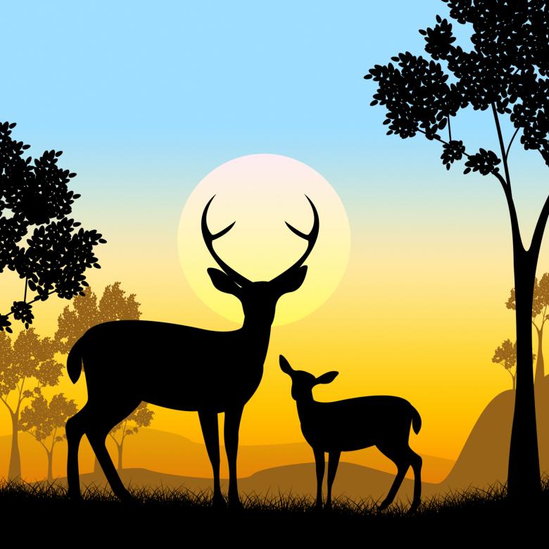 Free stock image of Deer Wildlife Indicates Safari Animals And Evening created by Stuart Miles