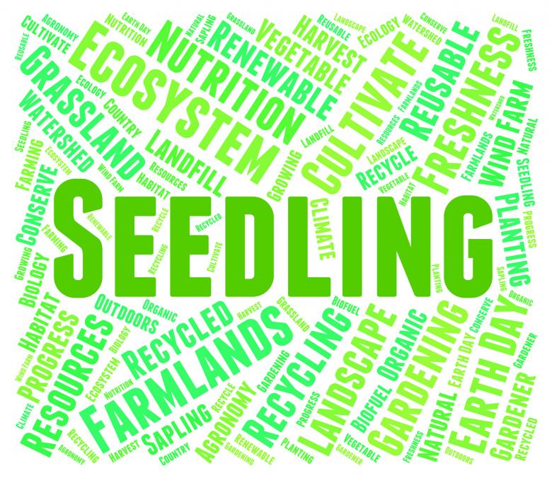 Free stock image of Seedling Word Indicates Young Tree And Botany created by Stuart Miles