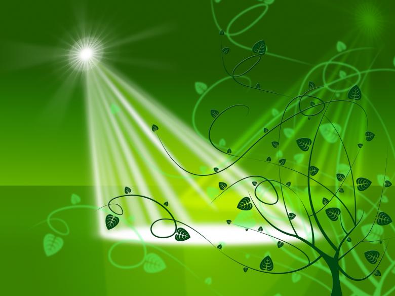Free stock image of Star Spotlight Shows Flowers Stage And Floodlight created by Stuart Miles