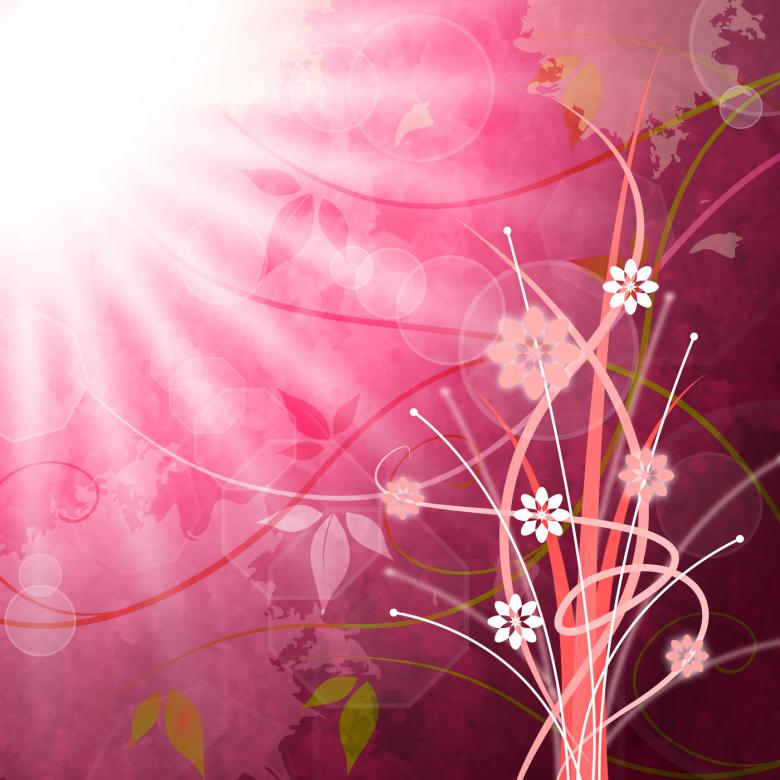Free stock image of Sun Rays Means Flower Flowers And Pink created by Stuart Miles