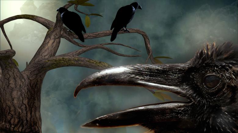 Free stock image of The Raven Tree created by bykst