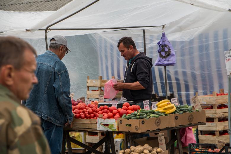 Free stock image of Vegetable and fruit stand created by Janis Urtans