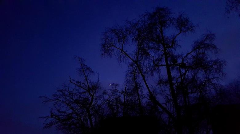 Free stock image of Dark Blue Night created by Monika Zając