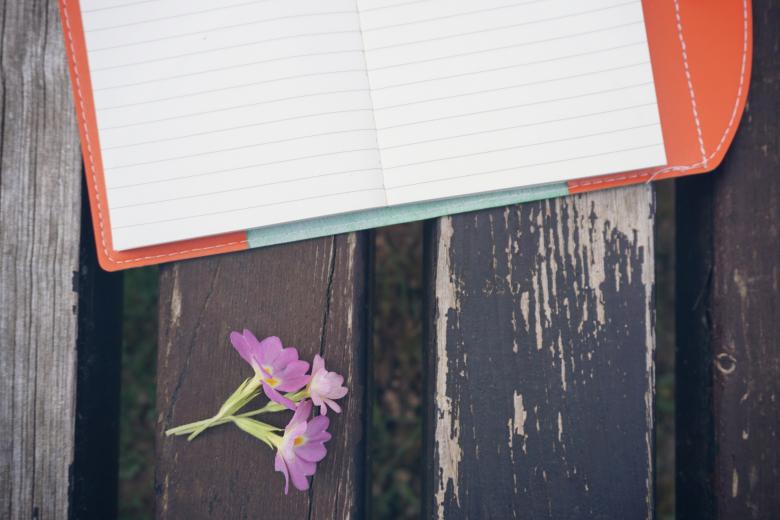 Free stock image of Diary on the Bench created by Pixabay