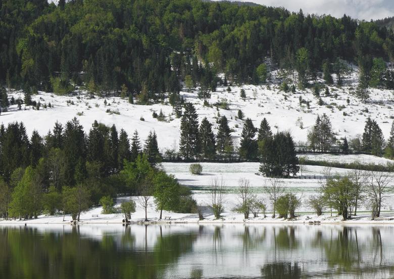 Free stock image of Lake in Winter created by Pixabay