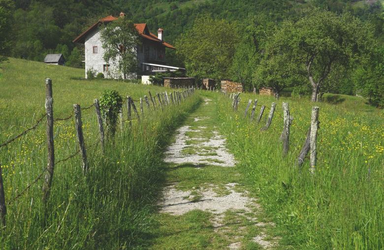 Free stock image of Wild Village created by Pixabay