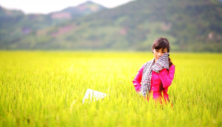 Free stock image of In the Countryside created by Pixabay