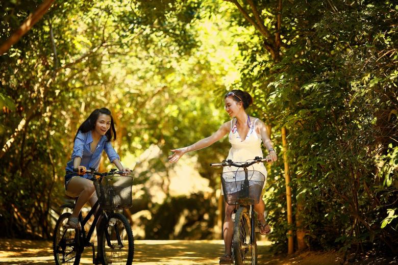 Free stock image of Bicycle Ride created by Pixabay