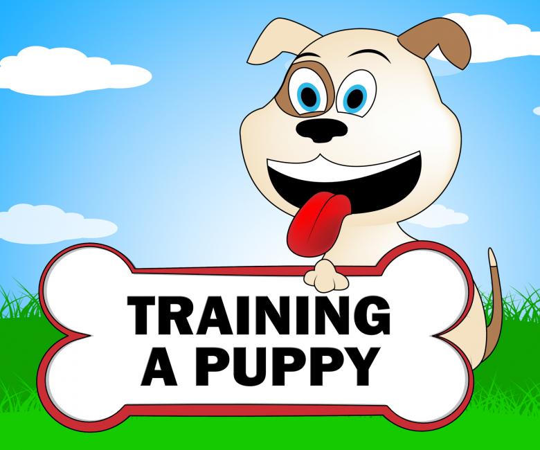 Free stock image of Training A Puppy Represents Trainer Instruction And Coach created by Stuart Miles