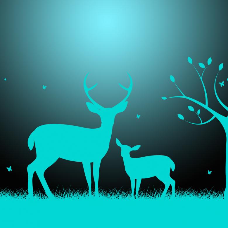 Free stock image of Deer Wildlife Indicates Night Time And Darkness created by Stuart Miles