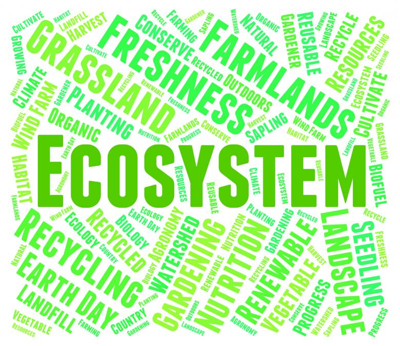 Free stock image of Ecosystem Word Indicates Earth Environmentally And Biospheres created by Stuart Miles