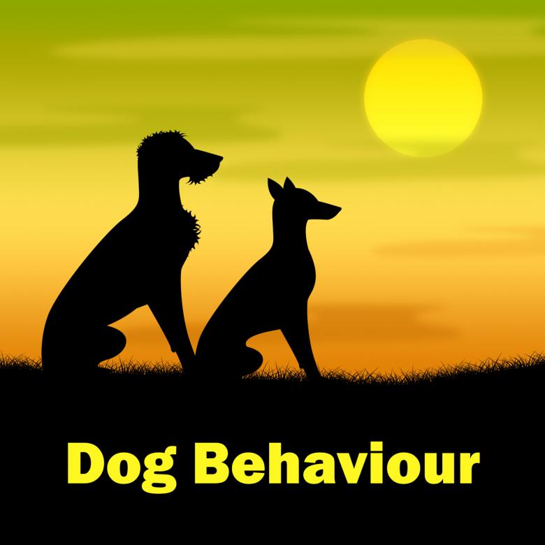 Free stock image of Dog Behaviour Means Actions Landscape And Pup created by Stuart Miles