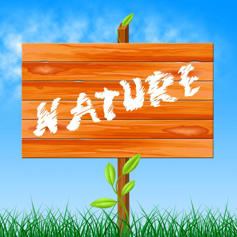 Free stock image of Nature Natural Shows Rural Tree And Trees created by Stuart Miles