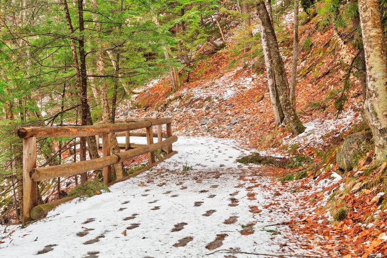 Free stock image of Sabbaday Winter Forest Trail - HDR created by Nicolas Raymond