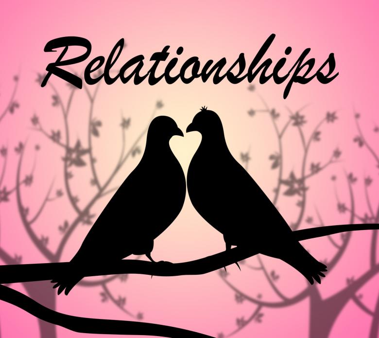 Free stock image of Relationships Doves Shows Find Love And Affection created by Stuart Miles