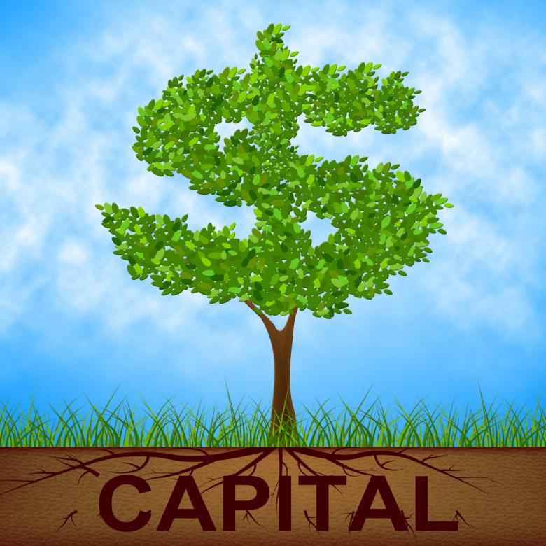 Free stock image of Capital Tree Indicates American Dollars And Banking created by Stuart Miles