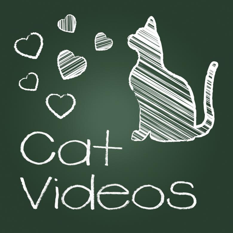 Free stock image of Cat Videos Represents Audio Visual And Cats created by Stuart Miles