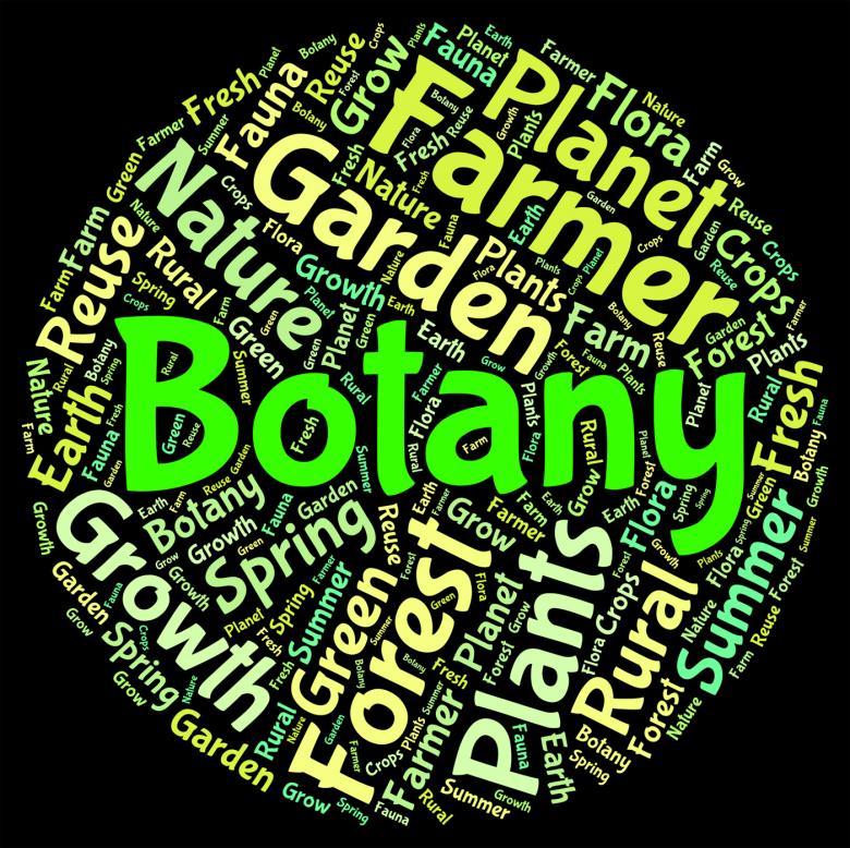 Free stock image of Botany Word Indicates Plant Life And Botanical created by Stuart Miles