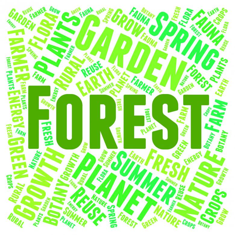 Free stock image of Forest Word Means Trees Copice And Park created by Stuart Miles