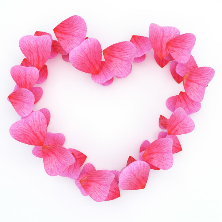 Free stock image of Petals Rose Shows Blank Space And Bloom created by Stuart Miles