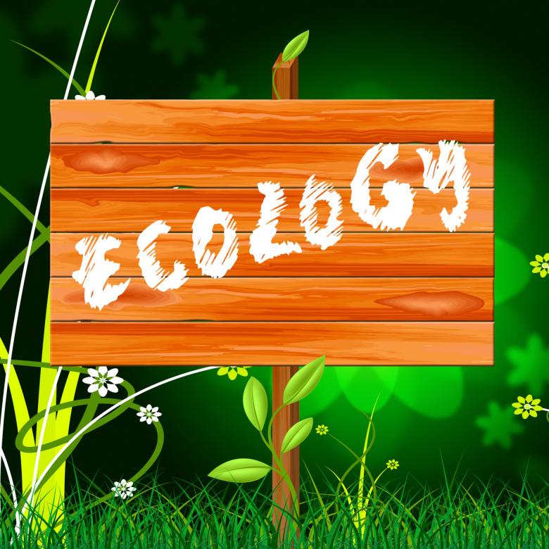Free stock image of Ecology Eco Indicates Earth Day And Eco-Friendly created by Stuart Miles